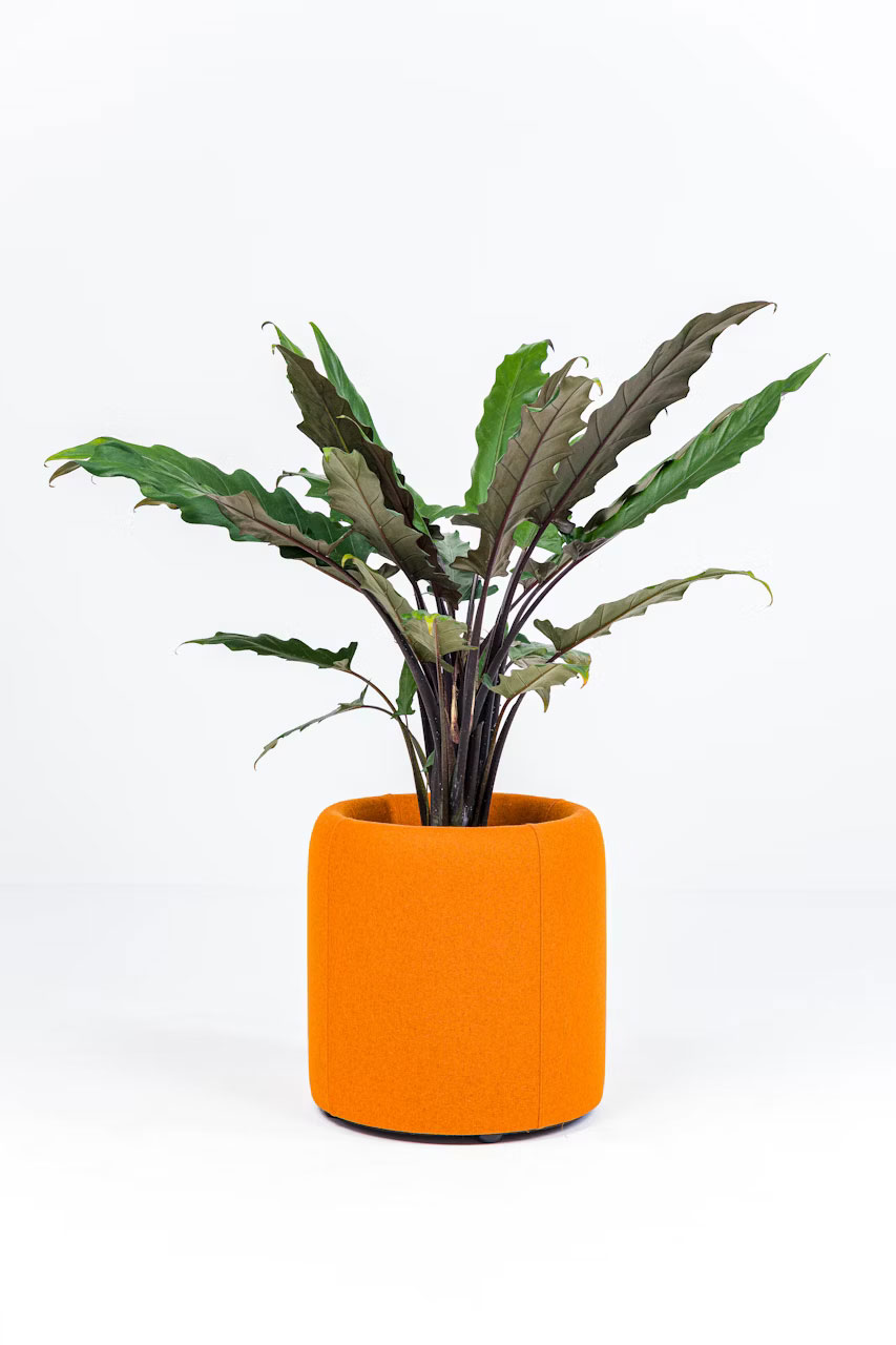Acoustic Decorative Products 0201-1 Acoustic Planter for Stylish and Quiet Workspaces - Image 5