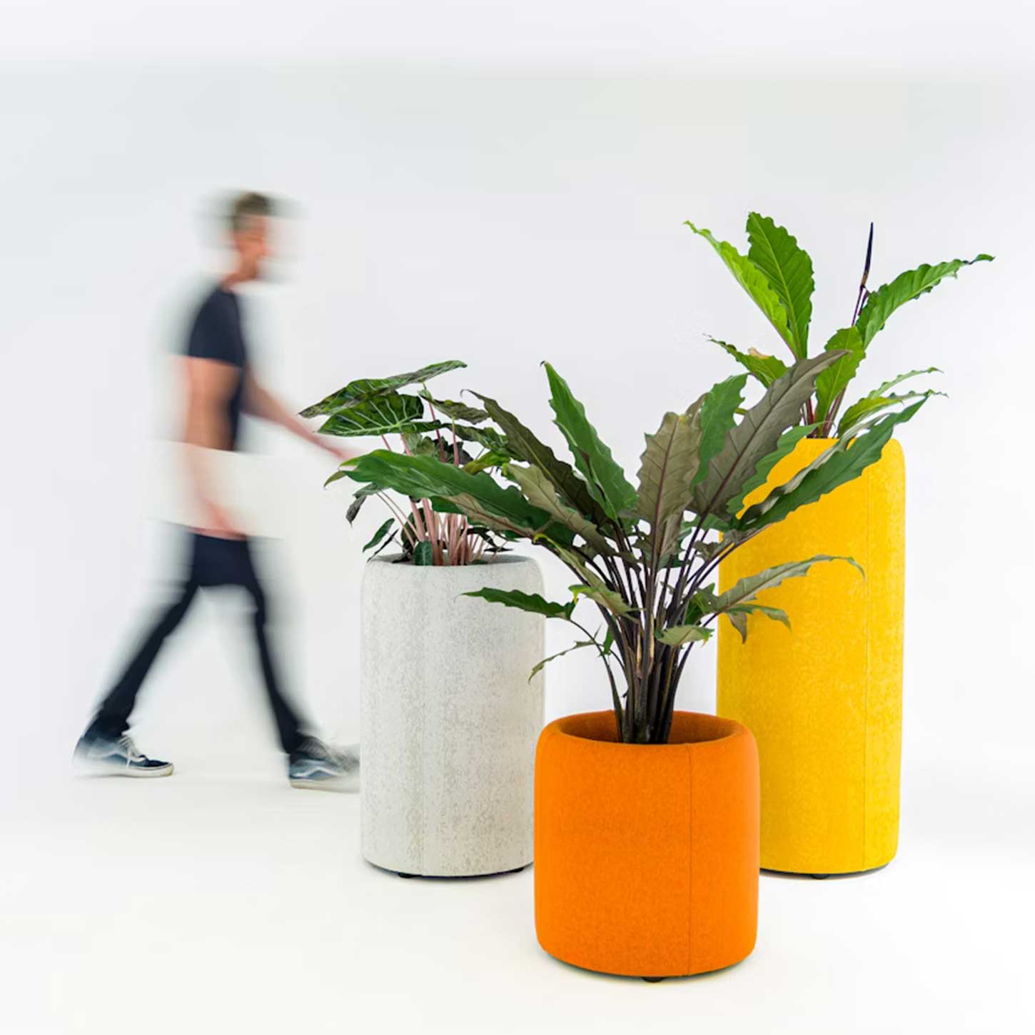 Acoustic Decorative Products 0201-1 Acoustic Planter for Stylish and Quiet Workspaces - Image 2