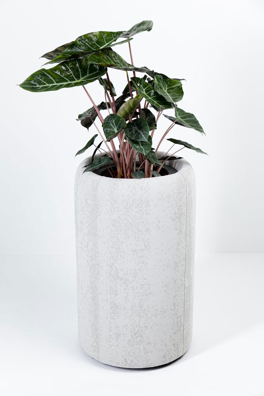 Acoustic Decorative Products 0201-1 Acoustic Planter for Stylish and Quiet Workspaces - Image 6