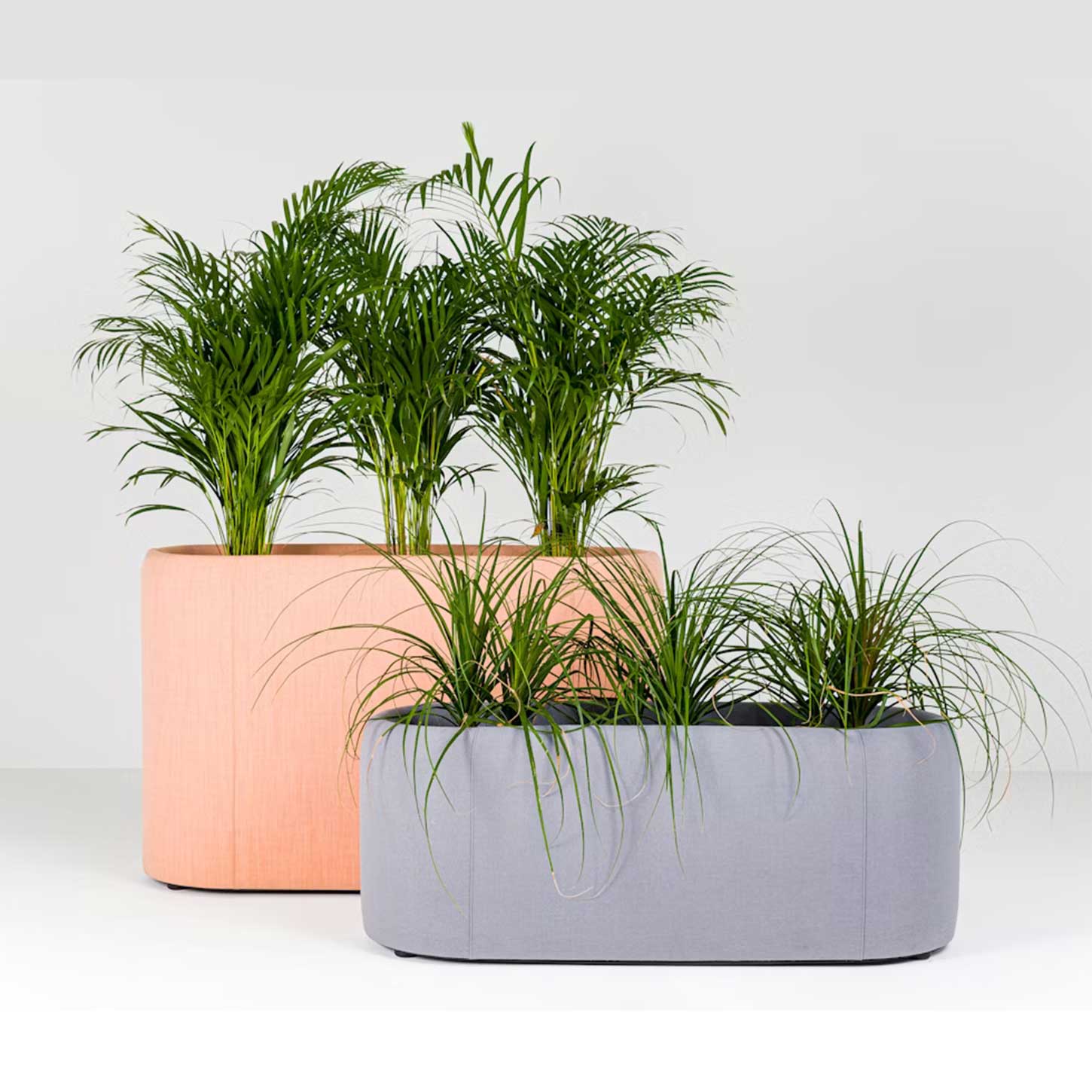 Acoustic Plant Base for Modern Office Interiors