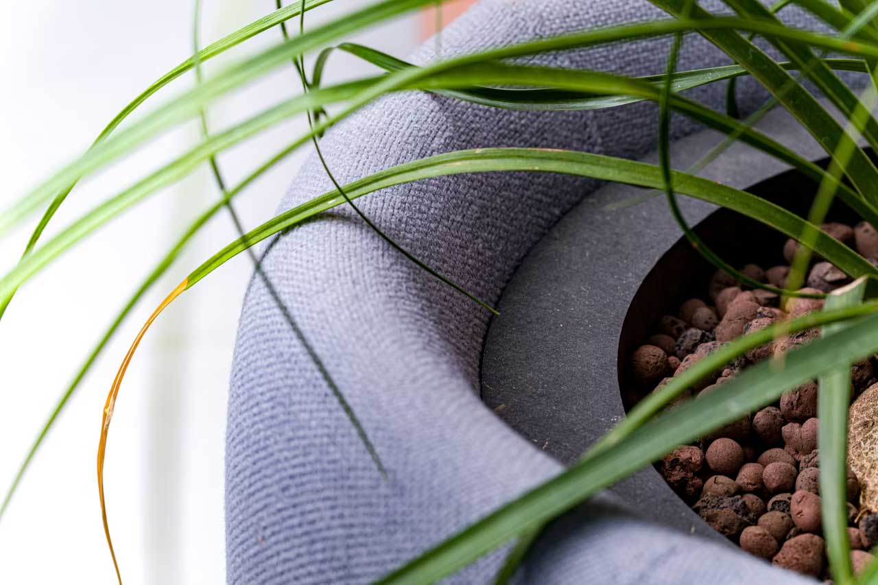 Acoustic Decorative Products 0201-2 Acoustic Plant Base for Modern Office Interiors - Image 4