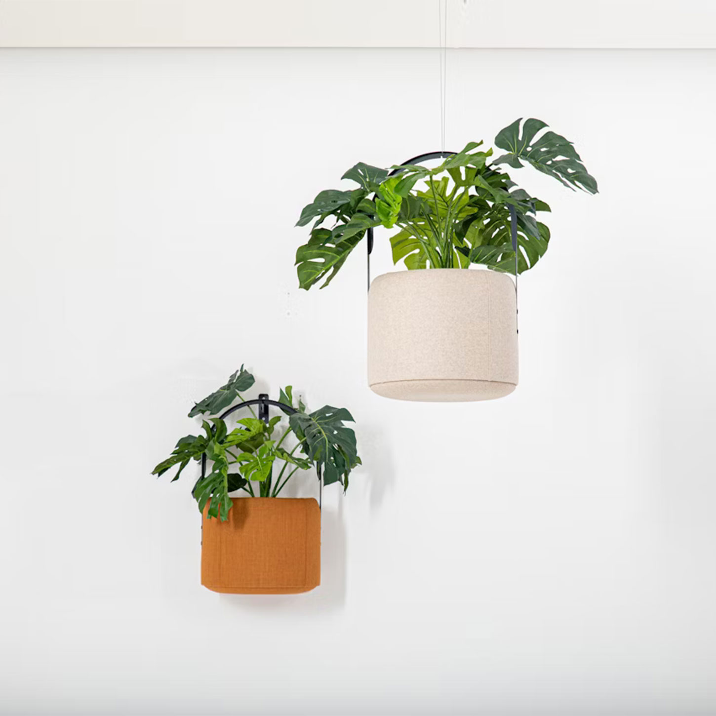 Wall-Mounted Acoustic Planter for Quiet and Inspiring