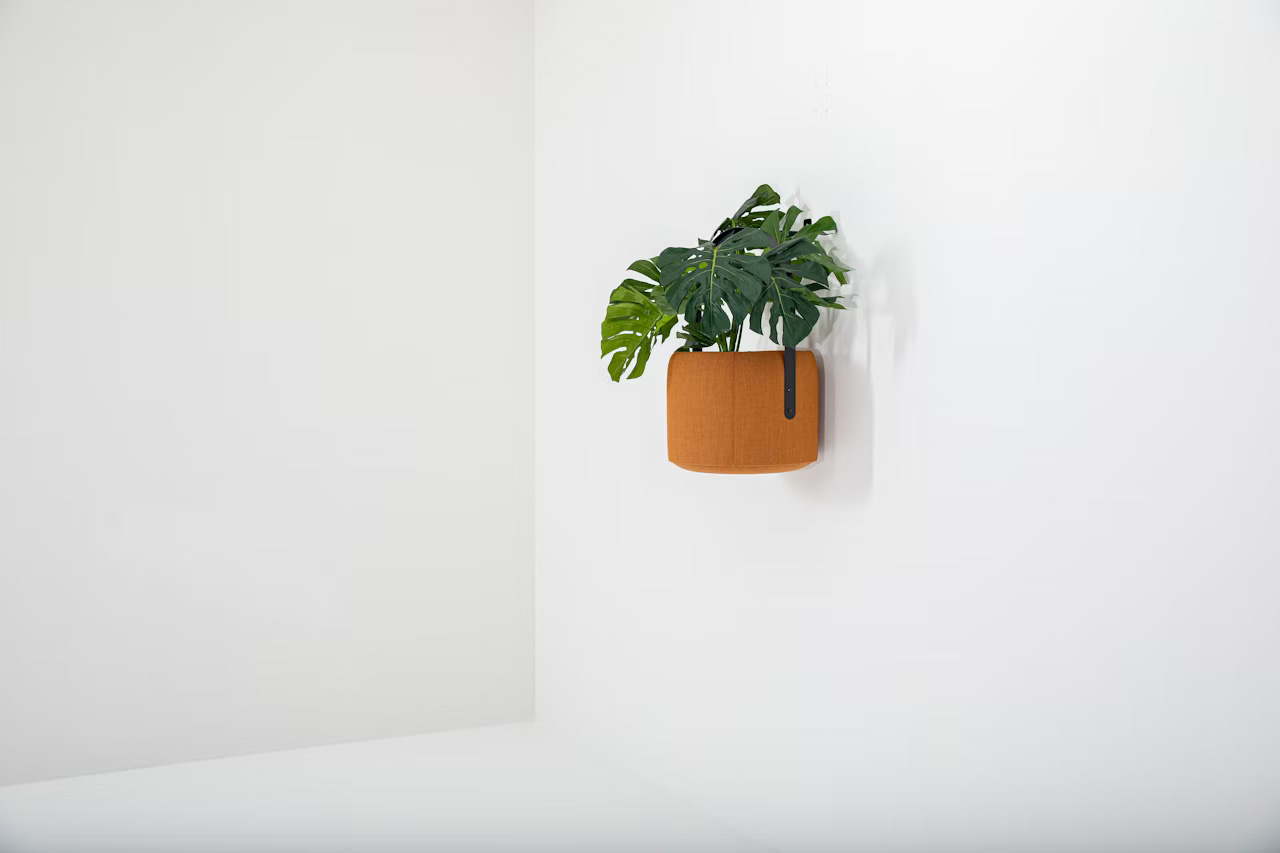 Acoustic Decorative Products 0201-4 Wall-Mounted Acoustic Planter for Quiet and Inspiring Workspaces - Image 6