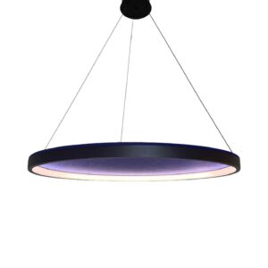Acoustic Hanging Light 0165