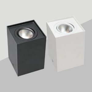 Surface Mounted LED Downlight