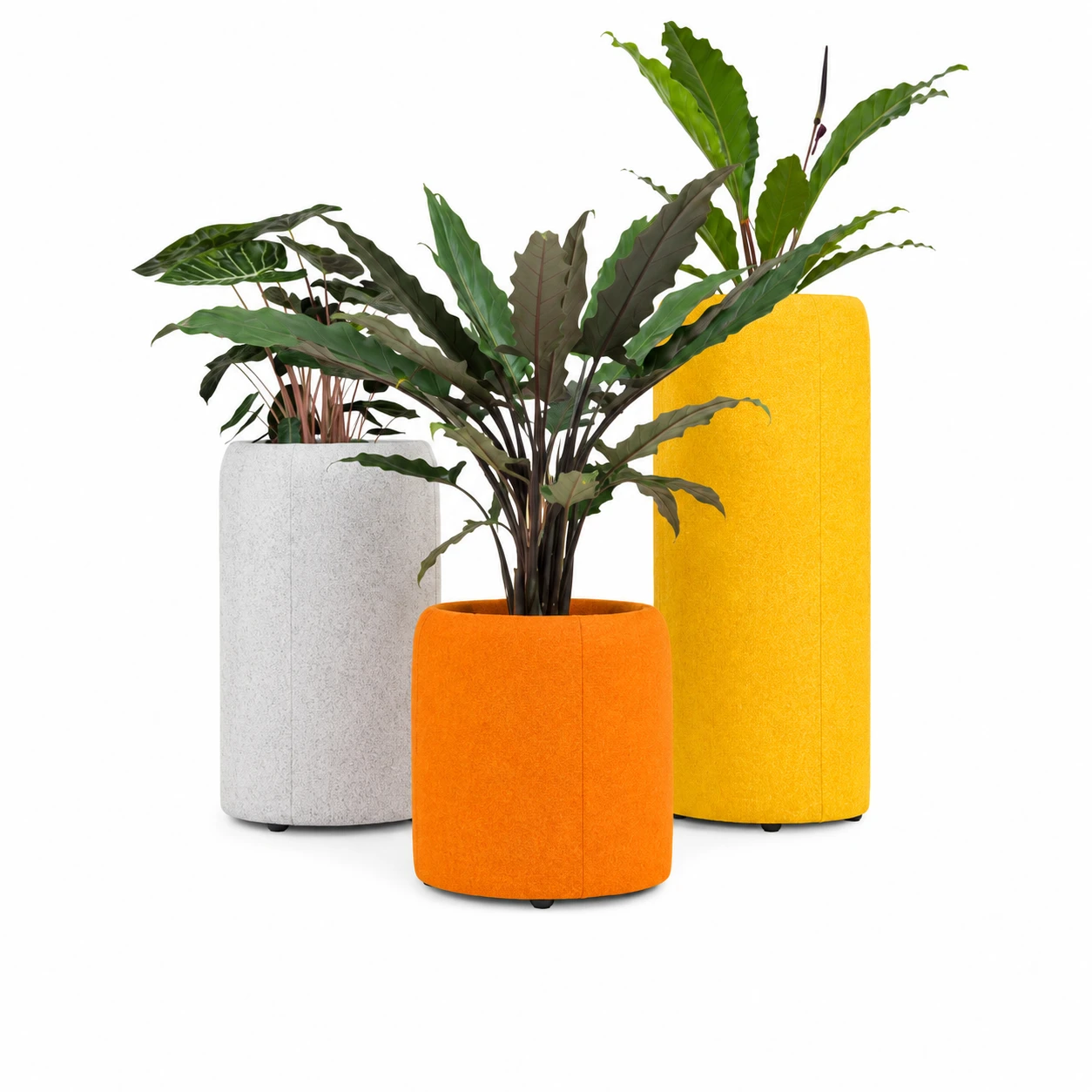 Planter Acoustic Divider - Image 2